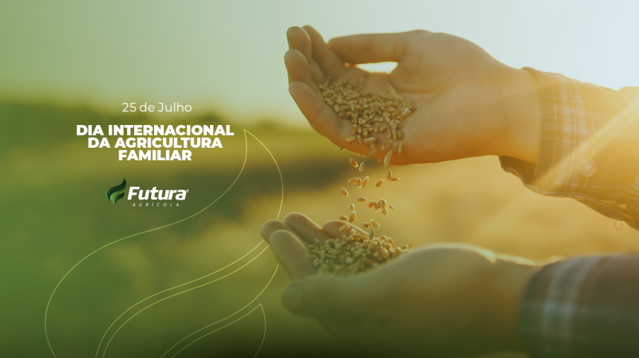 Agricultura Familiar: a base que sustenta o campo e alimenta o Brasil