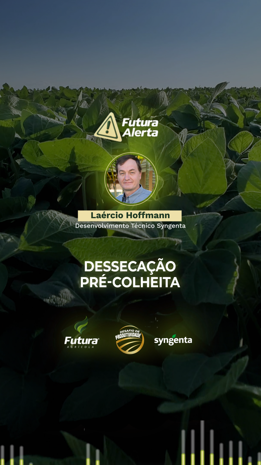Dessecação em pré-colheita - Laércio Hoffmann | Desafio de Produtividade