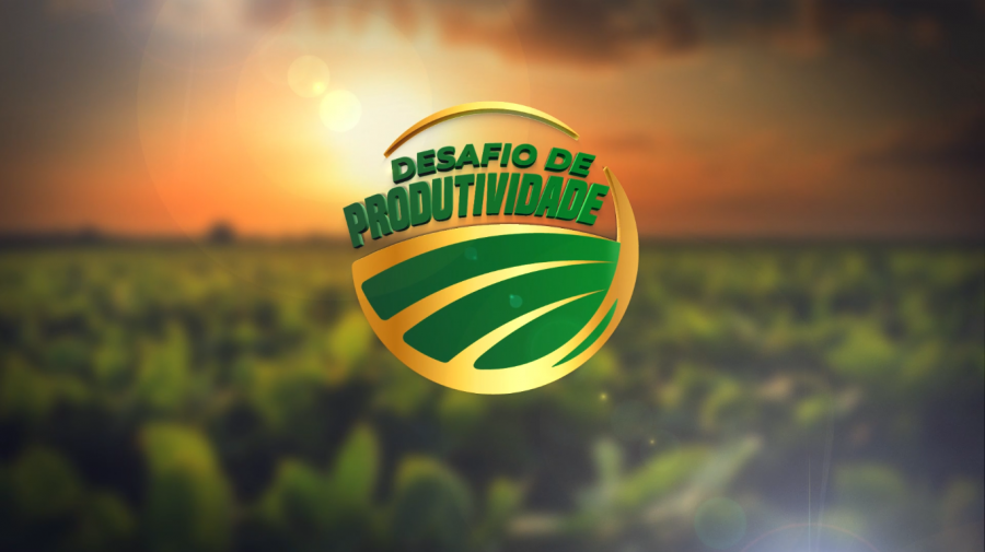 Desafio de Produtividade
